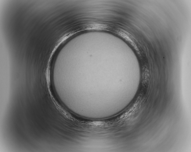 X0000093401130200710260912