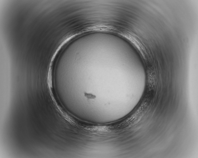 X0000093401131200710260912