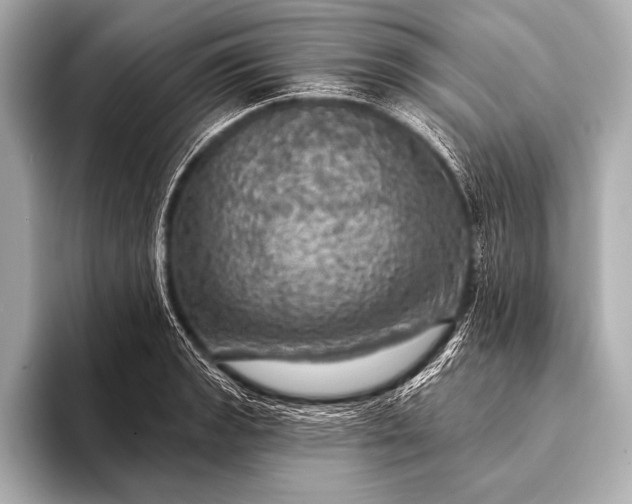 X0000093401133200710260912