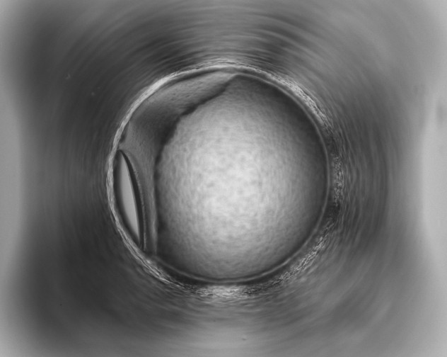 X0000093401134200710260912