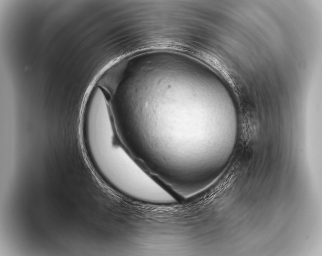 X0000093401136200710260912