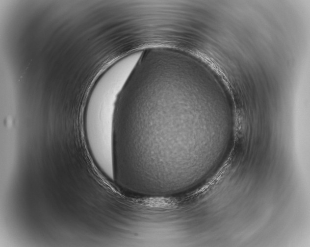 X0000093401137200710260912