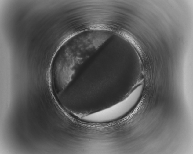 X0000093401141200710260912