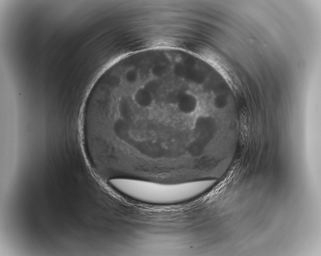 X0000093401142200710260912