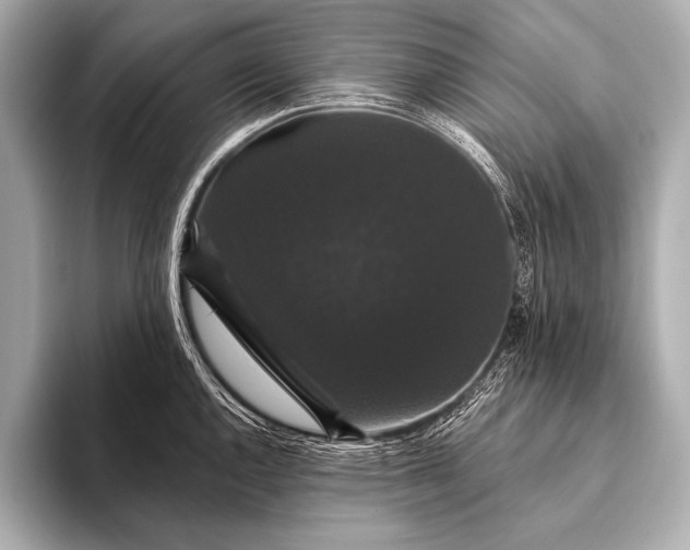 X0000093401144200710260912