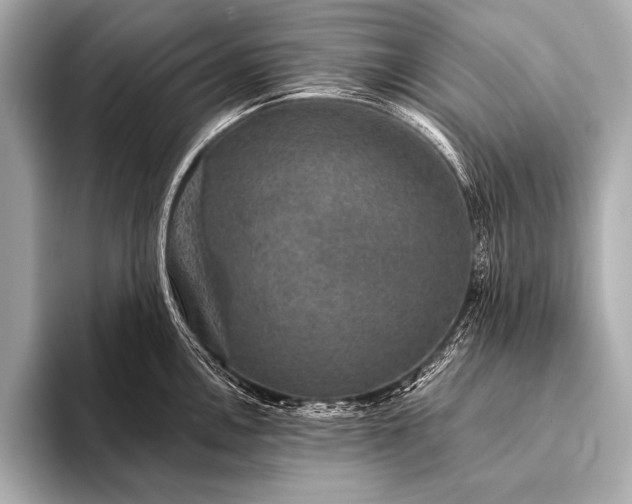 X0000093401146200710260912