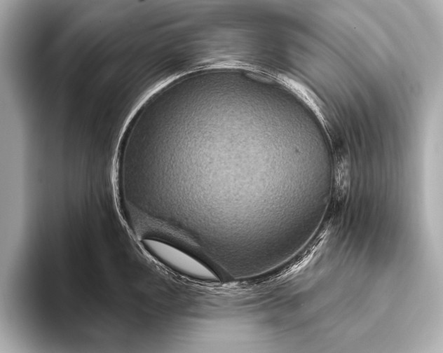 X0000093401149200710260912