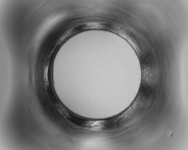 X0000093401150200710260912