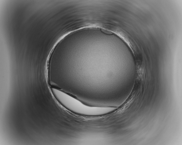 X0000093401151200710260912