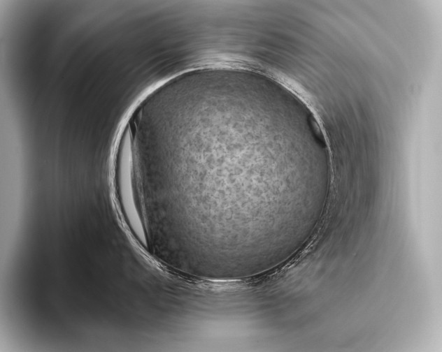 X0000093401152200710260912