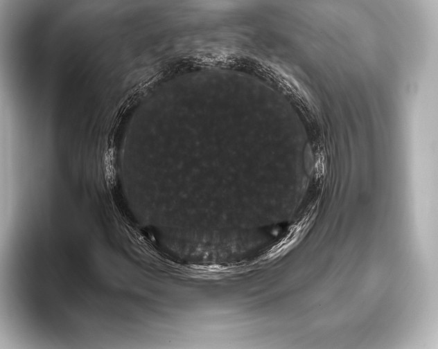 X0000093401156200710260911