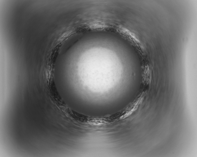 X0000093401157200710260911