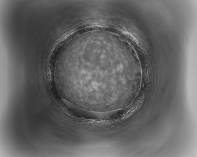 X0000093401159200710260911