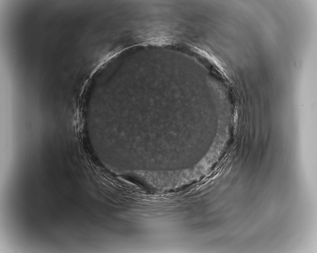 X0000093401160200710260911