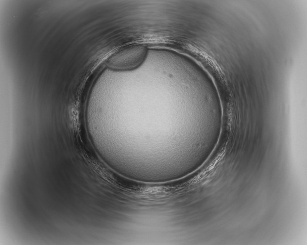 X0000093401162200710260911