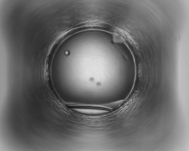 X0000093401164200710260911