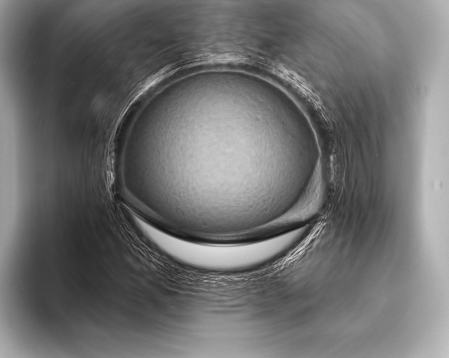 X0000093401165200710260911