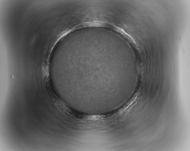 X0000093401166200710260911