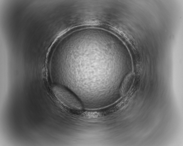 X0000093401168200710260911