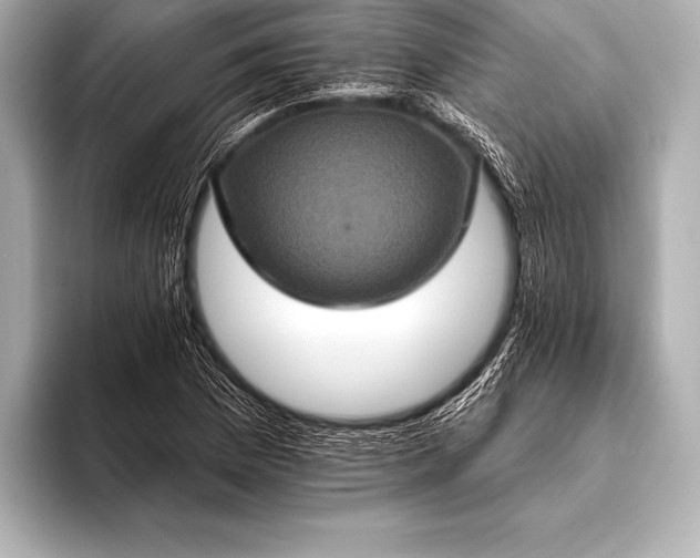 X0000093401169200710260911