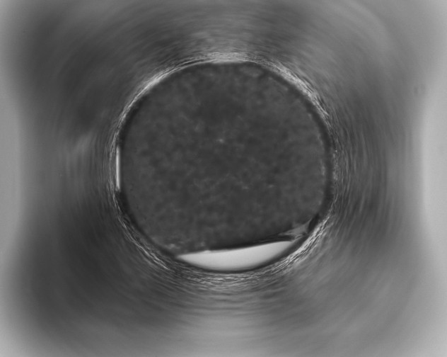 X0000093401171200710260911