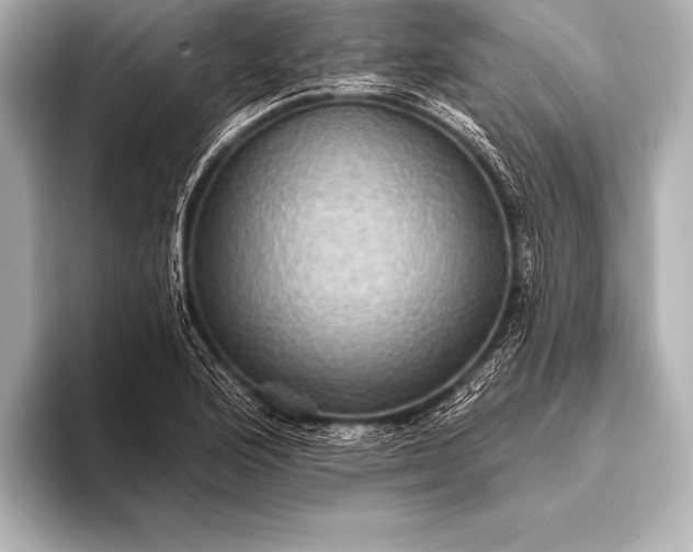 X0000093401176200710260911