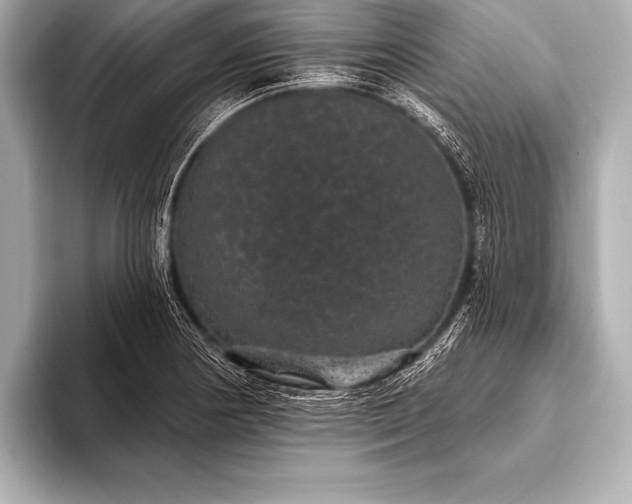 X0000093401178200710260911