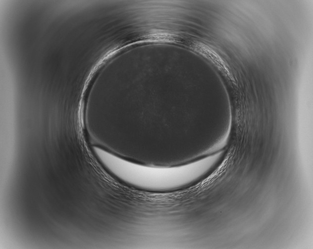 X0000093401180200710260911