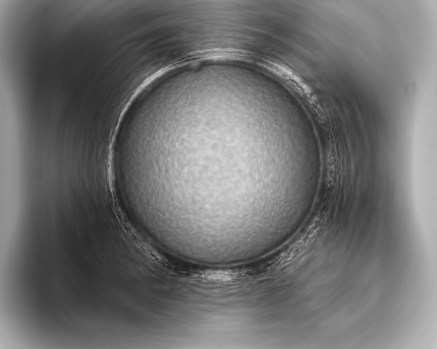 X0000093401182200710260911