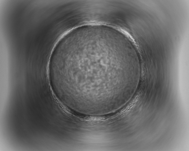 X0000093401183200710260911