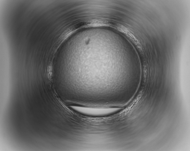 X0000093401185200710260911