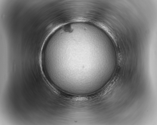 X0000093401187200710260911