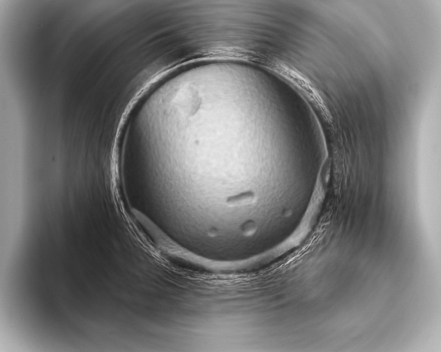 X0000093401188200710260911