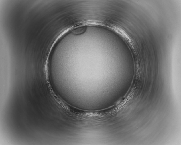 X0000093401190200710260911