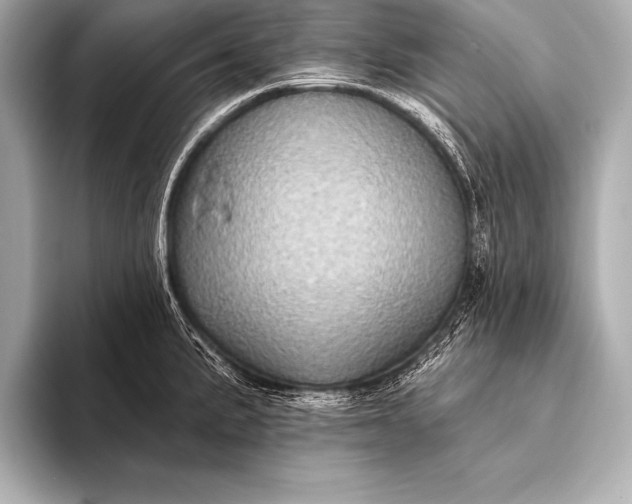 X0000093401191200710260911