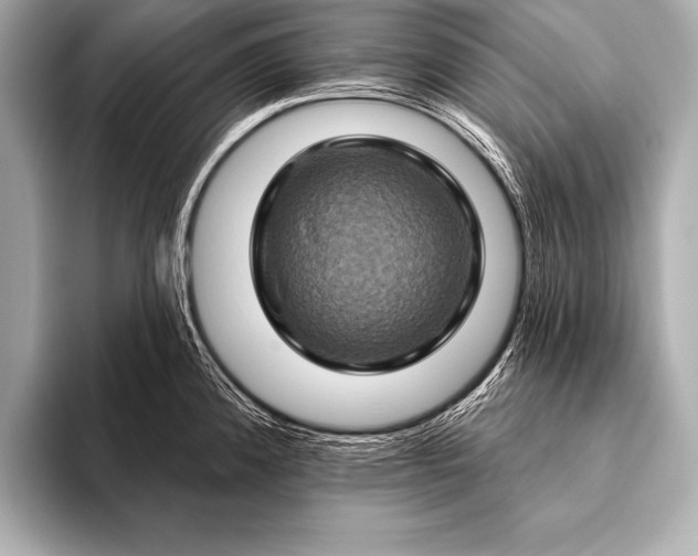 X0000093401192200710260911