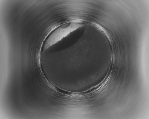 X0000093401194200710260911