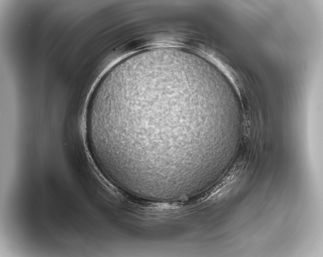 X0000093401195200710260911