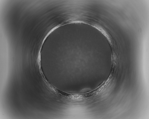 X0000093401198200710260911