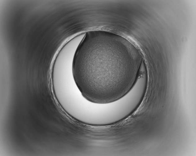 X0000093401200200710260911