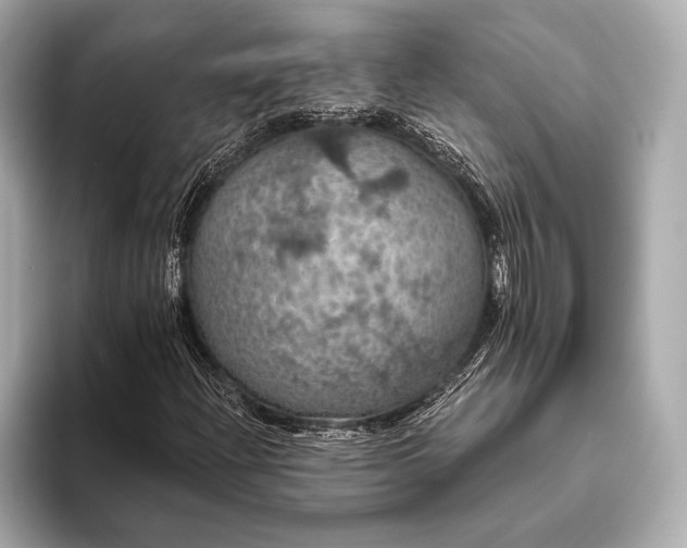 X0000093401204200710260910