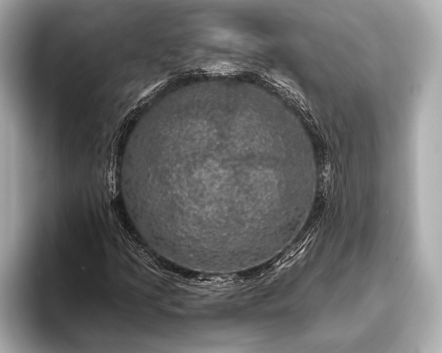 X0000093401205200710260910