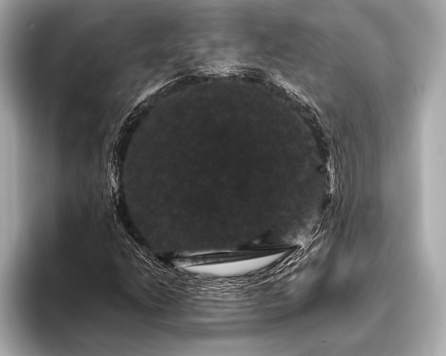 X0000093401206200710260910