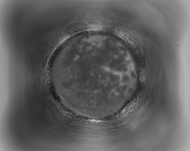 X0000093401208200710260910