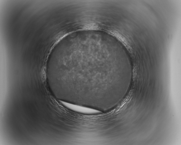 X0000093401212200710260910