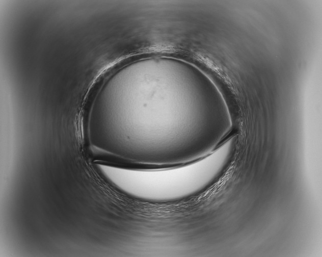 X0000093401214200710260910