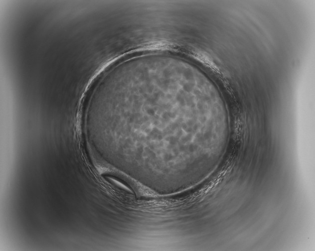 X0000093401216200710260910