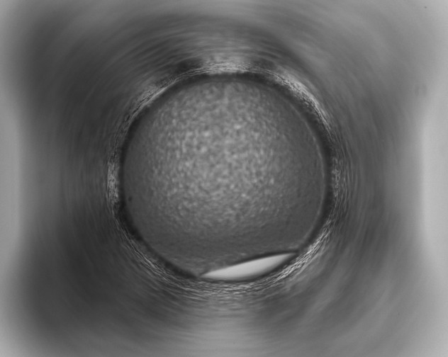 X0000093401217200710260910