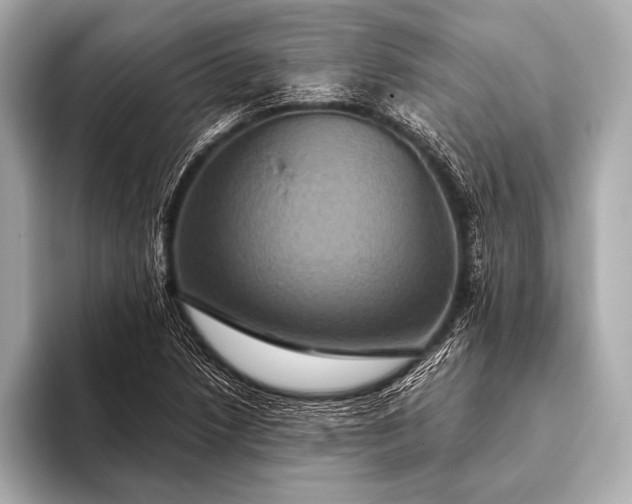 X0000093401218200710260910