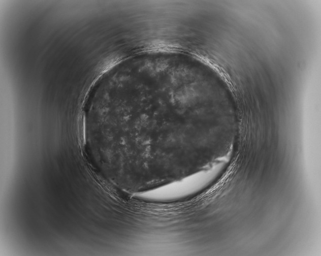 X0000093401219200710260910